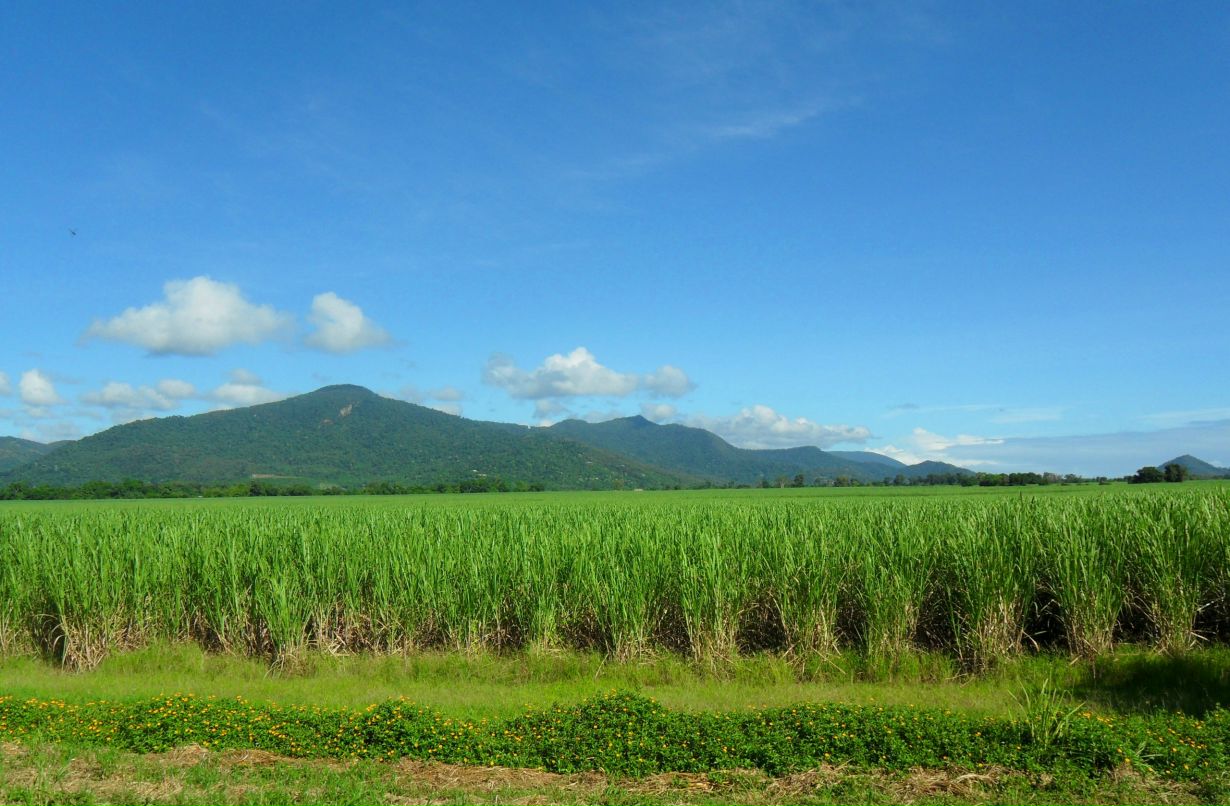 Дмитрий Венгерцев фотография #9