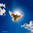 Фотография Куліша Андрія