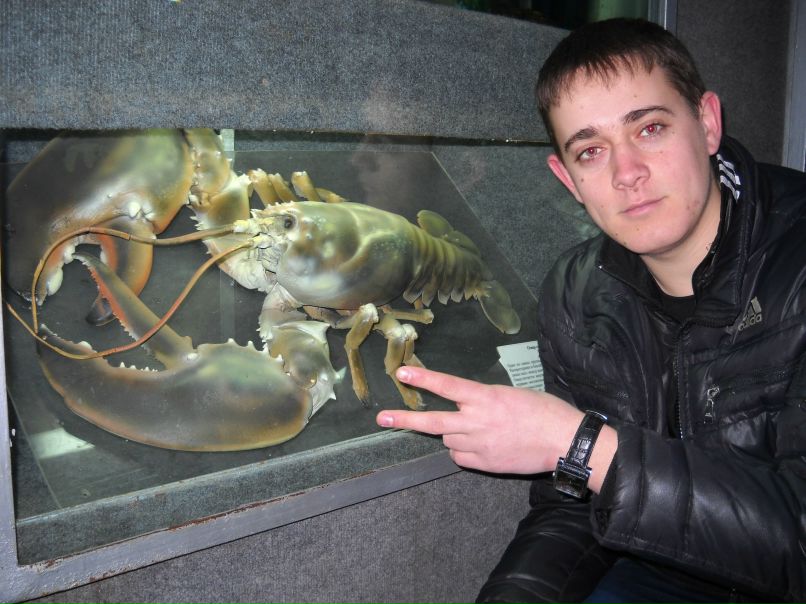 Дмитрий Ломакин фотография #30