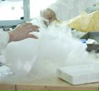 Фотография Антоновой Елены