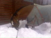 Фотография Хопряниновой Ольги