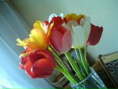 Фотография Сергеевой Анастасии