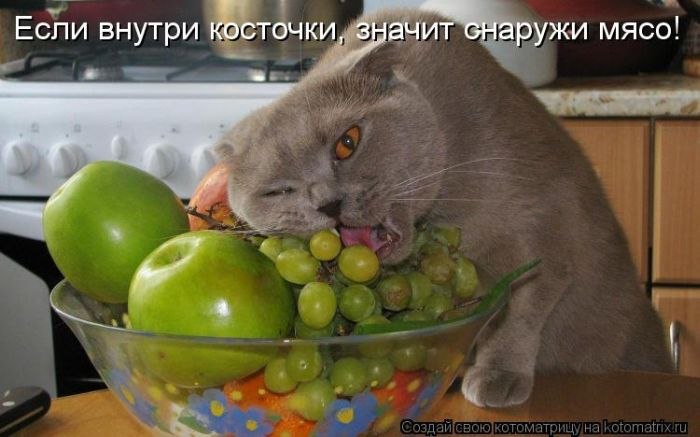 Дмитрий Божко фотография #14