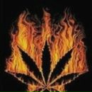 Фотография Щербакова Кирилла