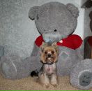 Фотография Поповой Ритулички