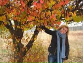 Фотография Володиной Елены