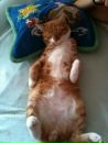 Fırat FIRAT фотография #18 (источник - https://vk.com/id22875274)