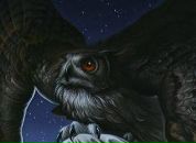 Фотография Новикова Димитрия