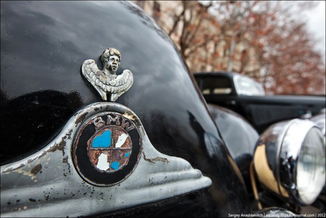 Руслан Зигангиров фотография #36