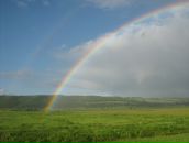Фотография Гариповой Гульназ