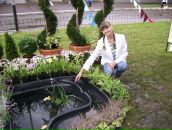 Фотография  