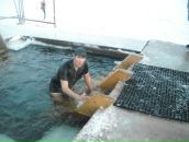 Фотография Хорева Евгения