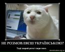 Роман Мілок фотография #13 (источник - https://vk.com/id72685352)