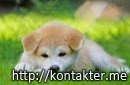 Ірина Дюга фотография #41 (источник - https://vk.com/id133742966)