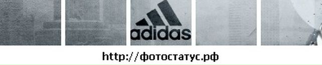 Илья Белый фотография #11 (источник - https://vk.com/id2777028)