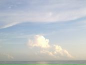 Сергей Ткаченко фотография #20 (источник - https://vk.com/id2989997)