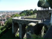 Міша Белцик фотография #43 (источник - https://vk.com/id134879470)