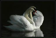 Фотография Александровой Елены