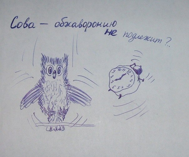 №17, Янит Жестяникова, 37 лет, Тбилиси №17, Янит Жестяникова, 37 лет, Тбилиси