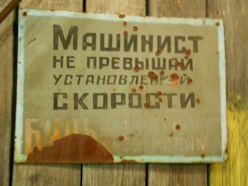 Дашка Чикунова фотография #47