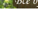 Ліля Радецька фотография #3 (источник - https://vk.com/id155361223)