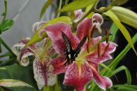 Фотография Маниной Любови