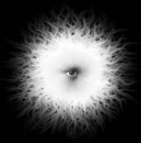 Фотография Шаповала Максима