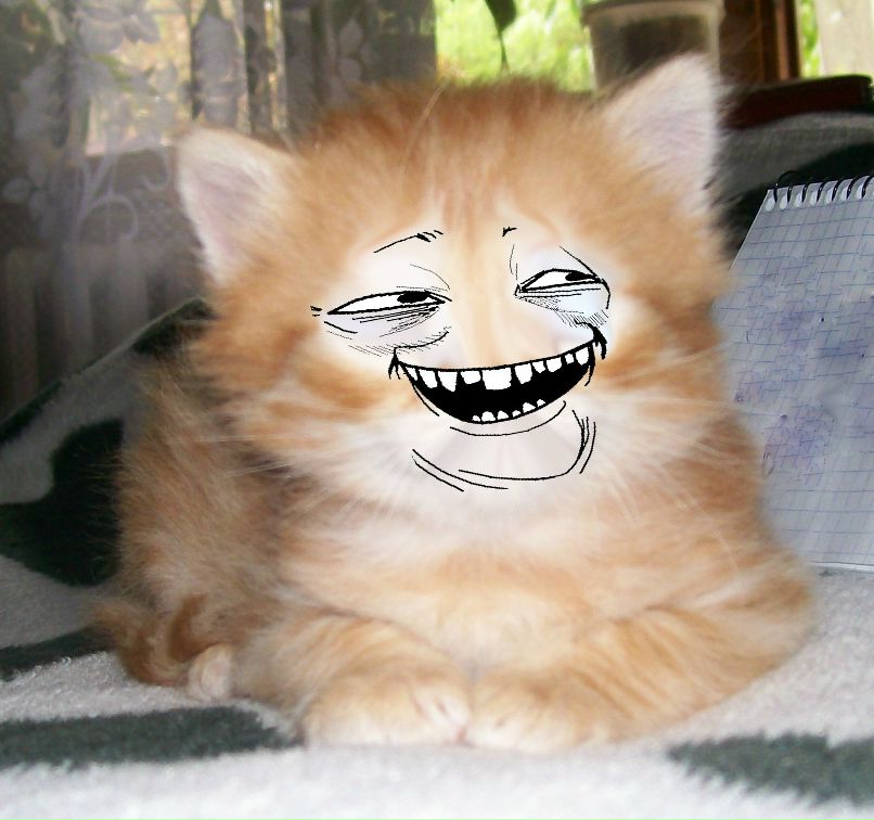 Владислав Давыдов фотография #14