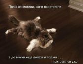 Фотография Барбидокской Дюдюки