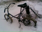 Фотография  