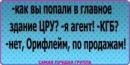 Дмитрий Лис фотография #4 (источник - https://vk.com/id132592330)