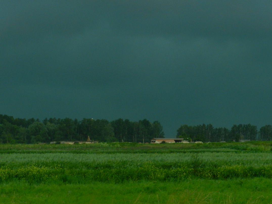 Дмитрий Толстых фотография #21