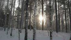 Девид Паркер фотография #35 (источник - https://vk.com/id4767619)