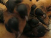 Фотография Якимовой Татьяны