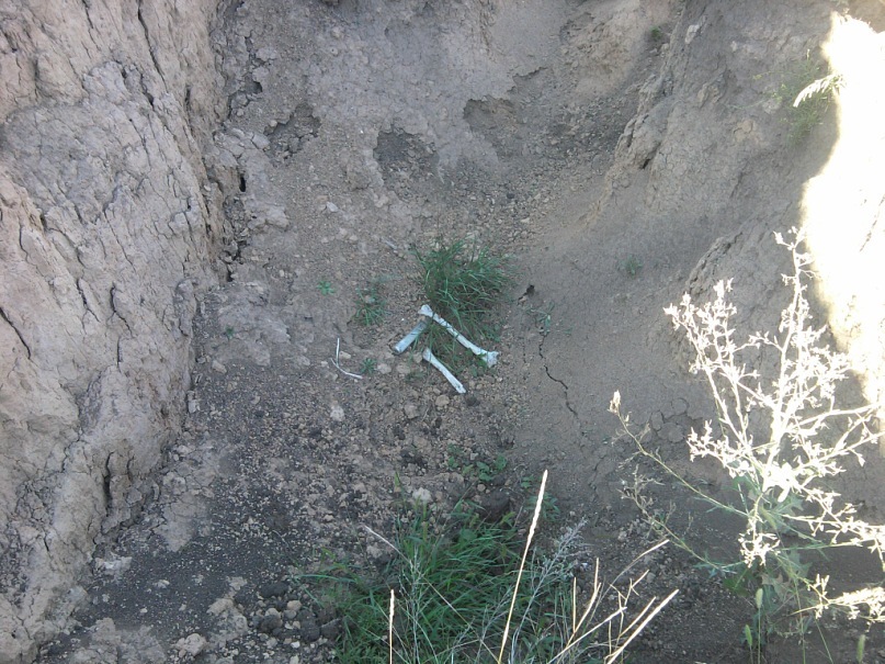 Сергей Олейник фотография #28