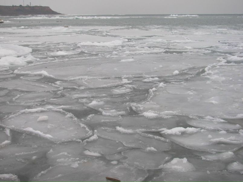 Иван Федченко фото №15