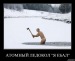 Валерій Гунько фотография #29 (источник - https://vk.com/id70316696)