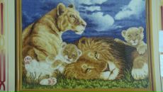 Фотография Еременко Ирины