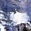 Валік Бойко фотография #44 (источник - https://vk.com/id138215938)