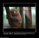 Фотография Кривошеева Михаила