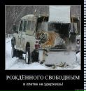 Евгений Федоров фотография #22 (источник - https://vk.com/id14525432)