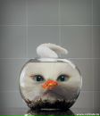 Фотография Новожиловой Дианы