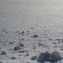 Фотография Сухаревой Вероники