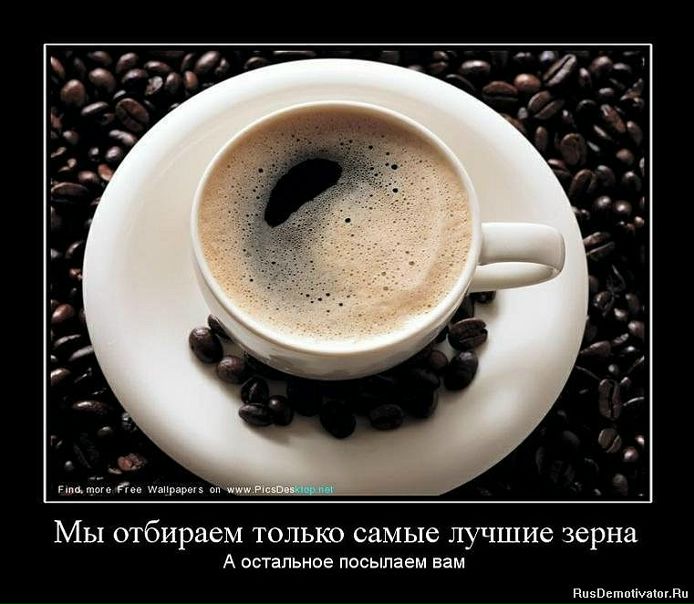 Галина Баркусевич фото №28