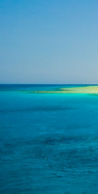 Миша Смарса фотография #36