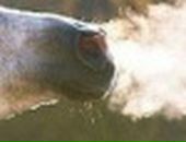 Сергей Осокин фотография #30 (источник - https://vk.com/id26323935)