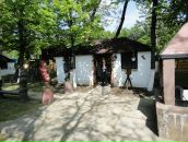 Ангеліна Козьмін фотография #28 (источник - https://vk.com/id46632310)