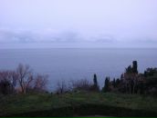 Лука Вучинић фотография #26 (источник - https://vk.com/id1238253)