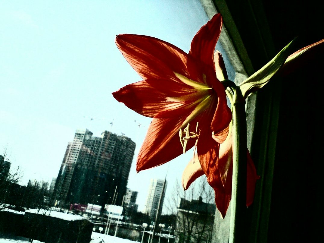 Рушан Абдрахимов фотография #5