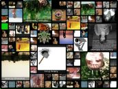 Пётр Борисов фотография #29 (источник - https://vk.com/id3774595)